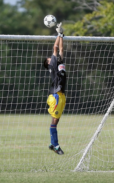 更早地招揽 更早地招揽