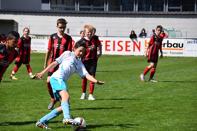 哈迪的团队 哈迪的团队