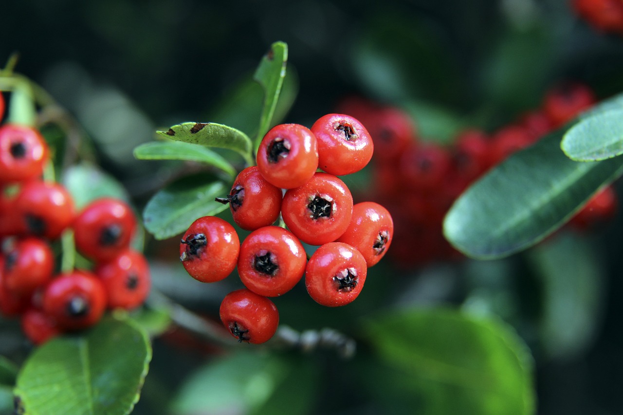 阵地战难占 阵地战难占